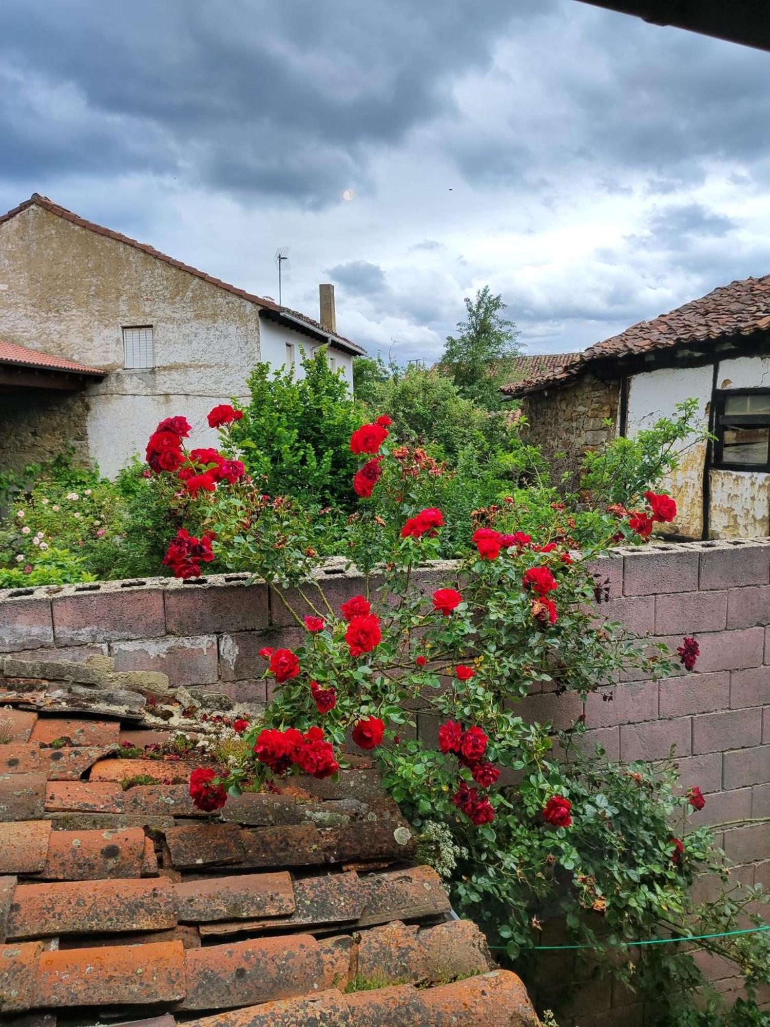 منزل الضيف سيرفيرا دي بيسويرجا  في Casa Simon المظهر الخارجي الصورة